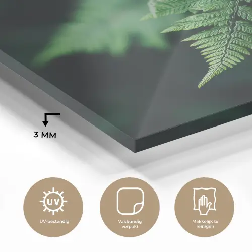 Varenblad - Groen - Structuur - Wazig plexiglas 5mm klein -sfeer2