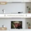 Schotse hooglander - Licht - Portret - Natuur keuken achterwand spatscherm klein -voor_na_NL