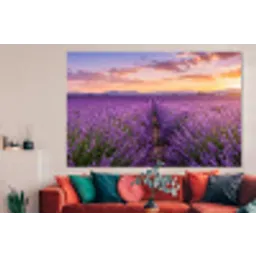 Lavendel - Veld - Natuur - Paars forex 5mm xxl -woonkamer