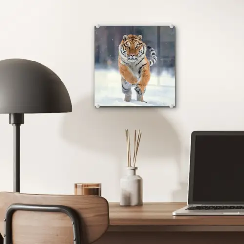 Tijger - Landschap - Sneeuw - Winter - Dieren plexiglas 5mm klein -sfeer6