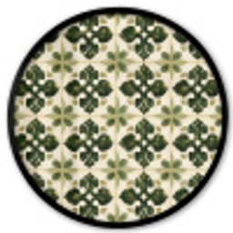 Patroon - Tegel - Groen Fotolijst rond zonder passe partout klein 856 -3d
