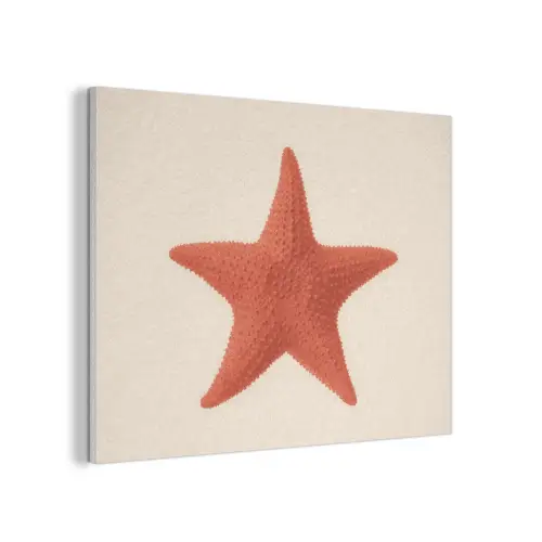 Zeester - Bobbels - Rood PET vilt klein -3d