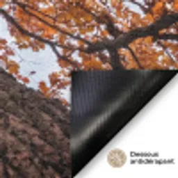 Boom - Bladerdak - Herfst - Oranje - Sfeervol Deurmat klein -antislip_FR