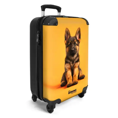 Hein herder Koffer - NBS - Handbagage middel -productfoto_3d