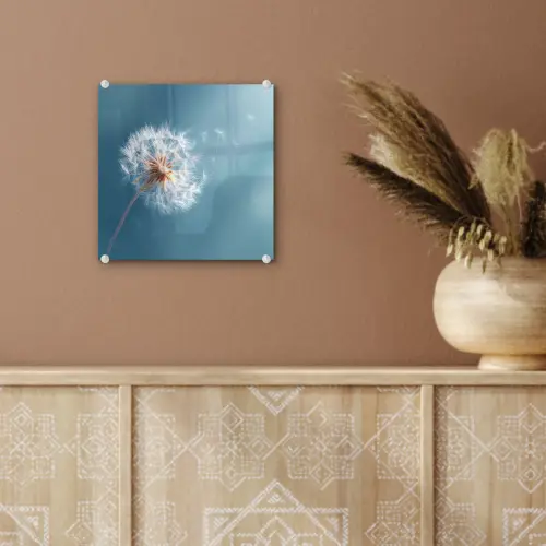 Paardenbloem - Wind - Blauw plexiglas 5mm klein -sfeer5
