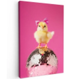 Discobal - Kuiken - Strik Tuinposter op houten frame 2 cm dik middel -3d