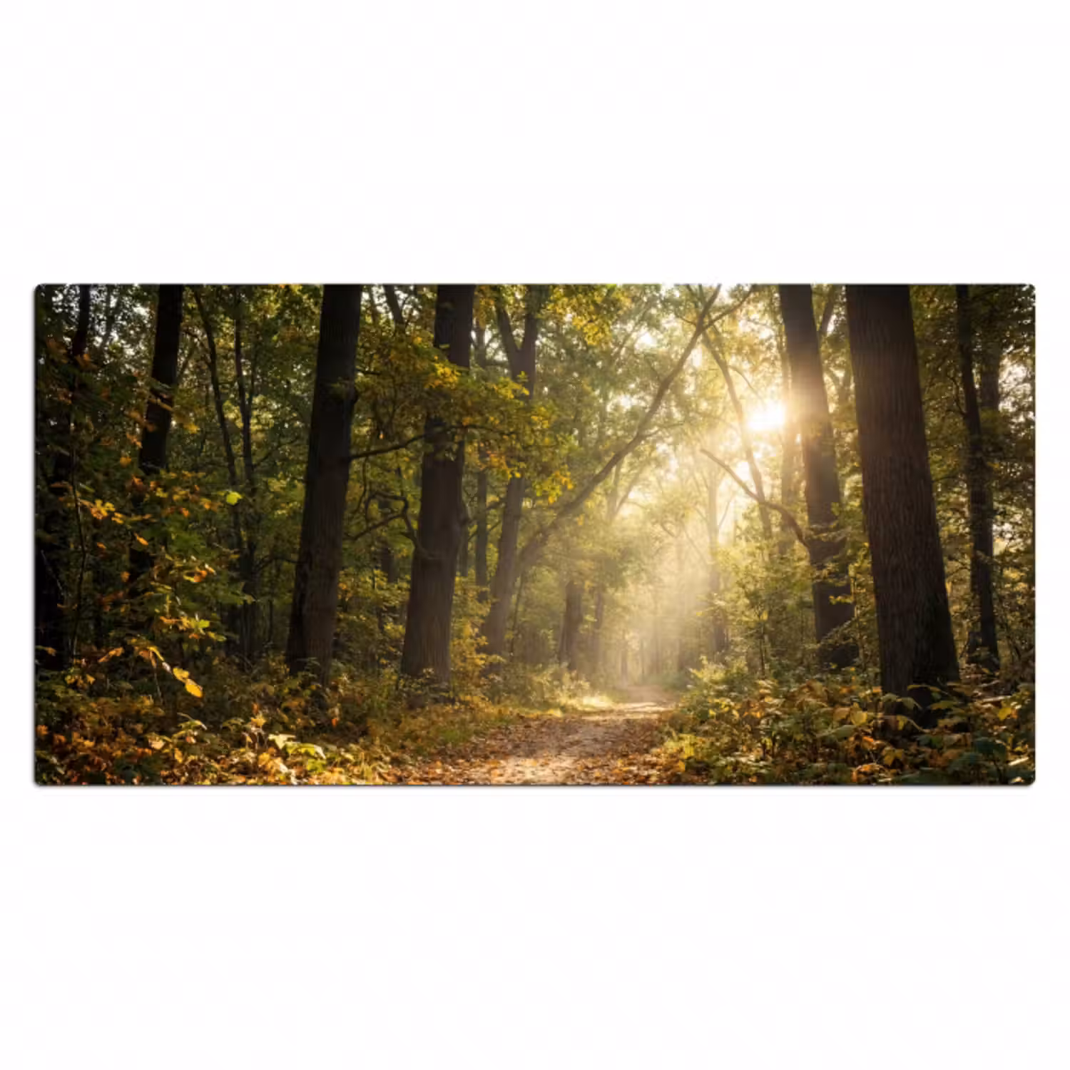 Schreibtischunterlage - Sonnenlicht - Waldweg - Bäume