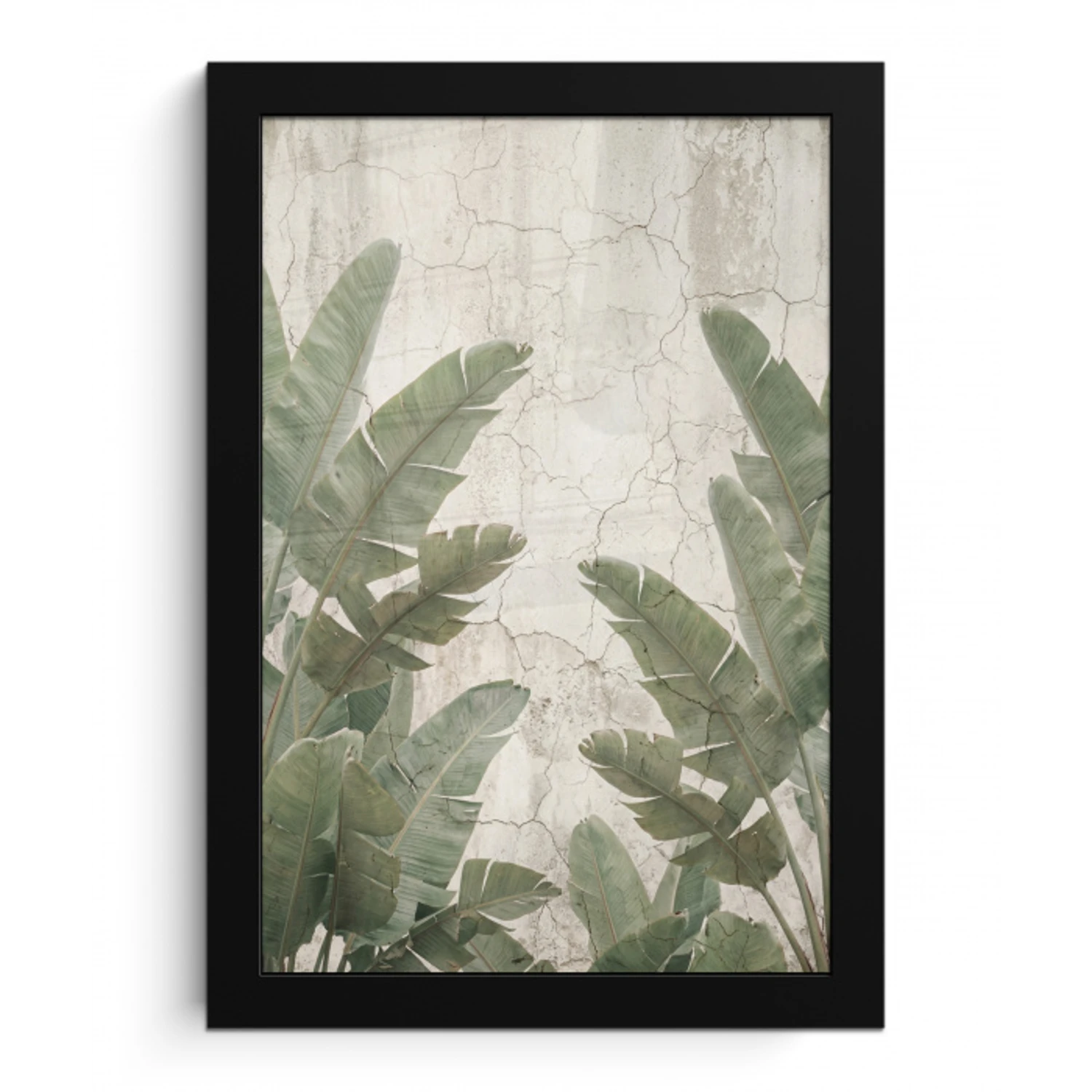 Bananenbladeren - Beton - Groen fotolijst zwart zonder passe partout klein -3d