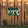 Palmblad - Tropisch - Natuur - Jungle tuinposter los doek klein -sfeer1