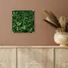 Groen - Bladeren - Kartel - Zonlicht plexiglas 5mm klein -sfeer5