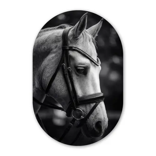 Paard - Schimmel - Portret Wandcirkel Ovaal Forex klein -3d