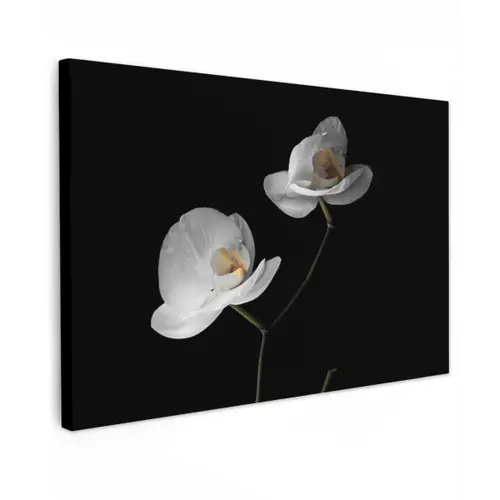 Orchidee - Bloemen - Zwart - Wit - Stilleven Tuinposter op houten frame 2 cm dik klein -3d