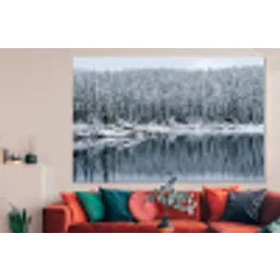 Bos - Reflectie - Meer - Winter - Serene forex 5mm xxl -woonkamer