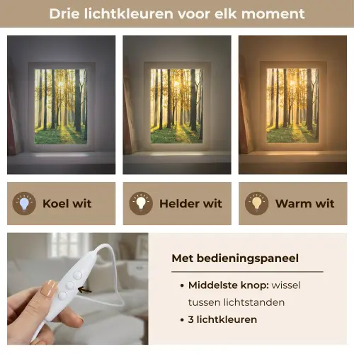 Bos - Zon - Bomen - Gras - Landschap  - Natuur Light Box met kabel (Tafellamp) klein -USP_lichtkleurNL