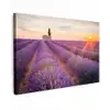 Lavendel - Zonsondergang - Bloemen - Paars canvas 2cm klein -z3d