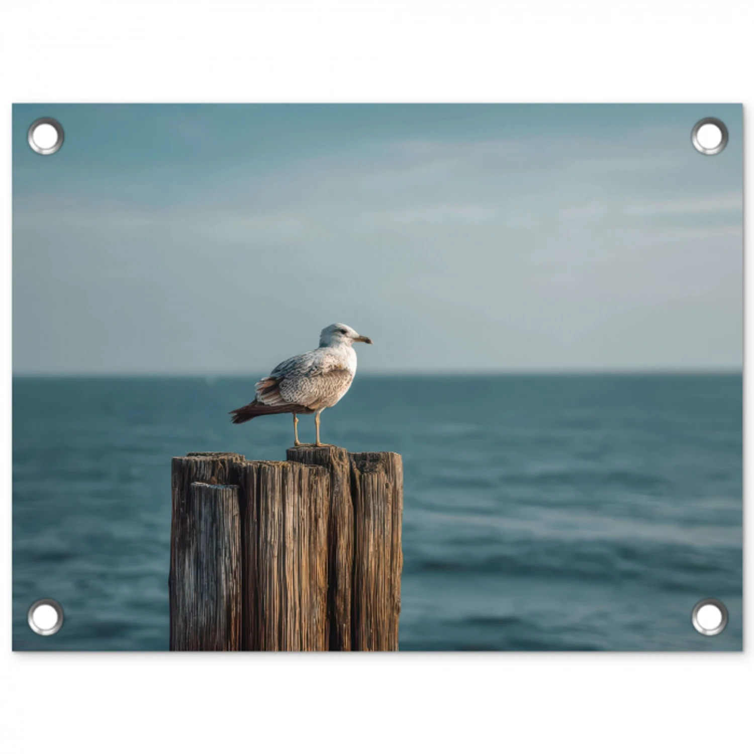 Meeuw - Paal - Zee tuinposter los doek klein -3d