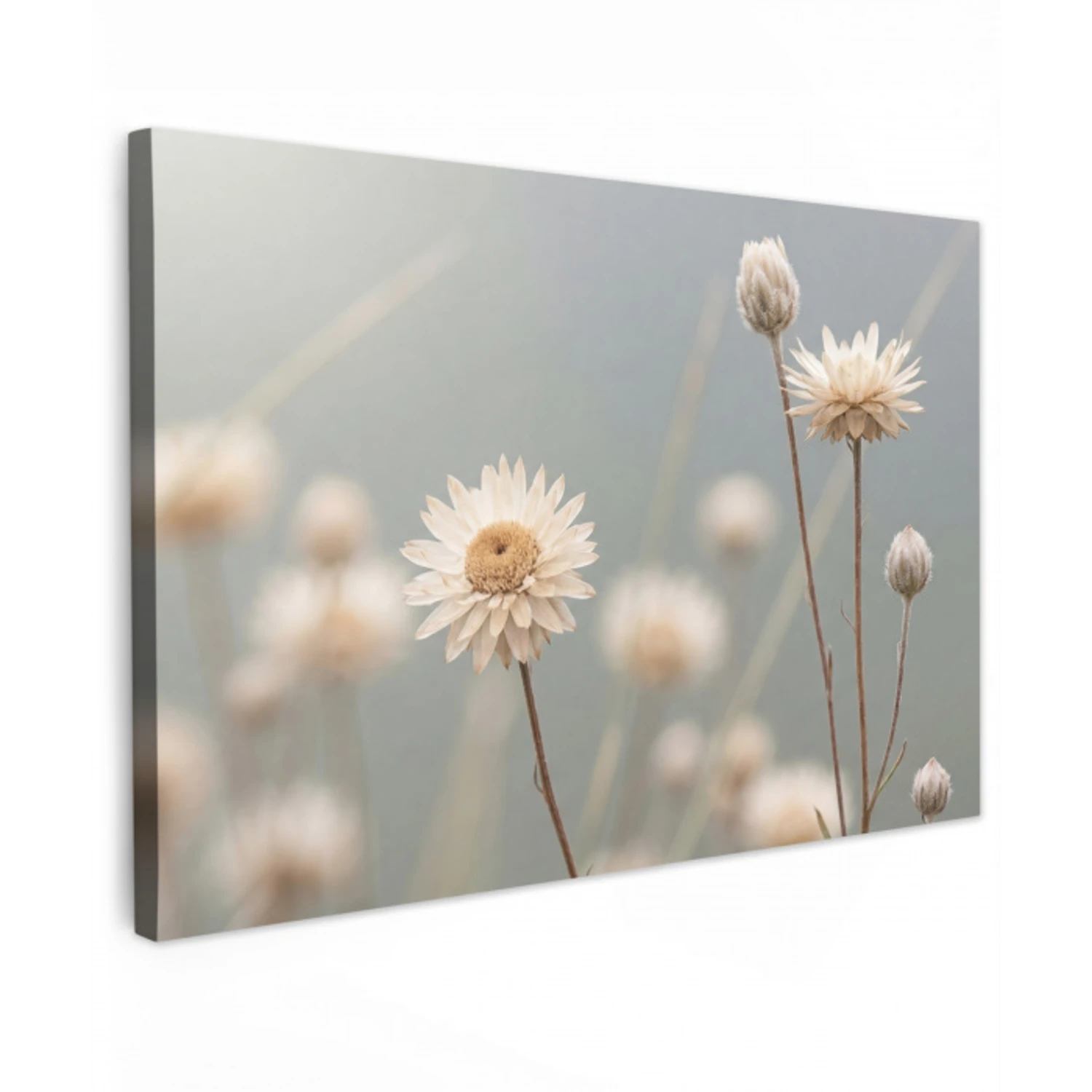Strobloemen - Wit - Daglicht Tuinposter op houten frame 2 cm dik klein -3d