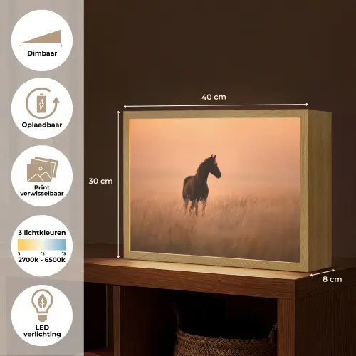 Paard - Grasveld - Zonsondergang Light Box met batterij (Wandlamp) middel -USP_websiteoverzichtNL
