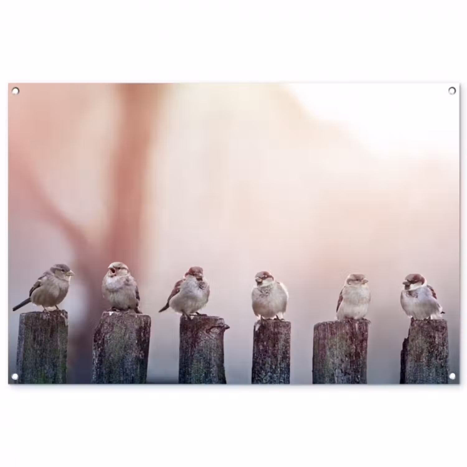Tuinposter - Mussen op Houten Palen