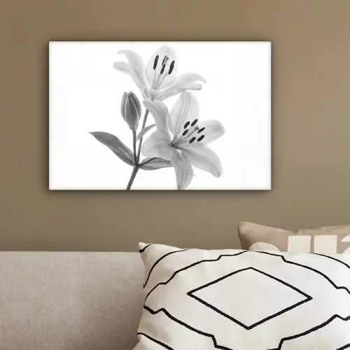 Lelies - Elegant - Zwart - Wit canvas 2cm klein -sfeer3