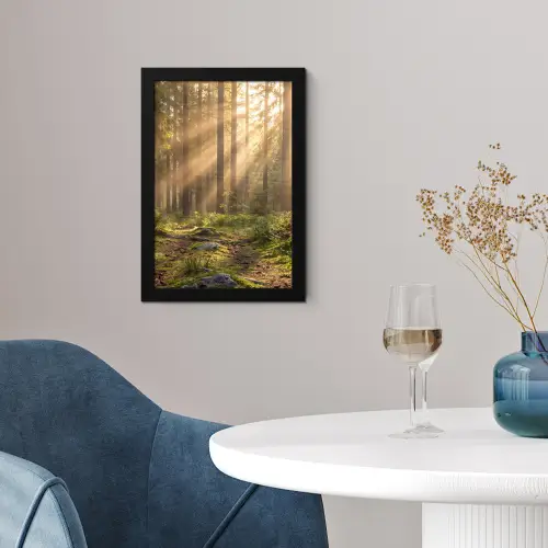 Bos - Zonlicht - Gras fotolijst zwart zonder passe partout klein -sfeer4