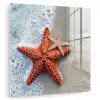 Zeester - Strand - Zee plexiglas 5mm klein -zzzproduct_nieuw