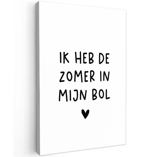 Quotes - Spreuken - André Hazes - Ik heb de zomer in mijn bol Tuinposter op houten frame 2 cm dik klein -3d