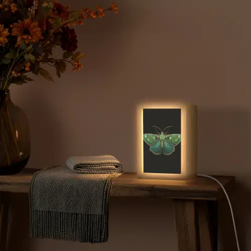 Mot - Levendig - Groen Light Box met kabel (Tafellamp) klein -sfeer4