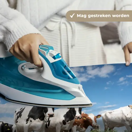 Koeien - Platteland - Weiland - Natuur - Dieren Wandkleed katoen klein -sfeer9