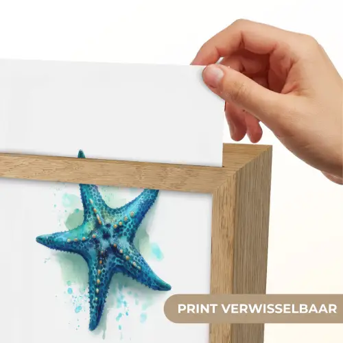 Zeester - Blauw - Spetters Light Box met kabel (Kinderlampje) klein -USP_websiteprintNL