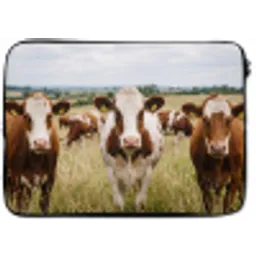Koeien - Portret - Weide - Boerderij - Nieuwsgierig laptophoes neopreen klein -zkaufland3dotto