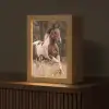 Paard - Bruin - Gras Light Box met kabel (Tafellamp) klein -z3d_website