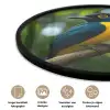 Vogel - Tak - Geel - Bladeren Fotolijst rond zonder passe partout klein -closeup_NL