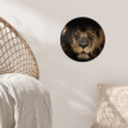 Leeuw - Dieren - Zwart - Portret Wandcirkel behangsticker klein -sfeer4