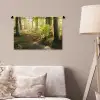 Bos - Bomen - Pad - Zon - Planten - Bladeren - Natuur Wandkleed katoen klein -sfeer4