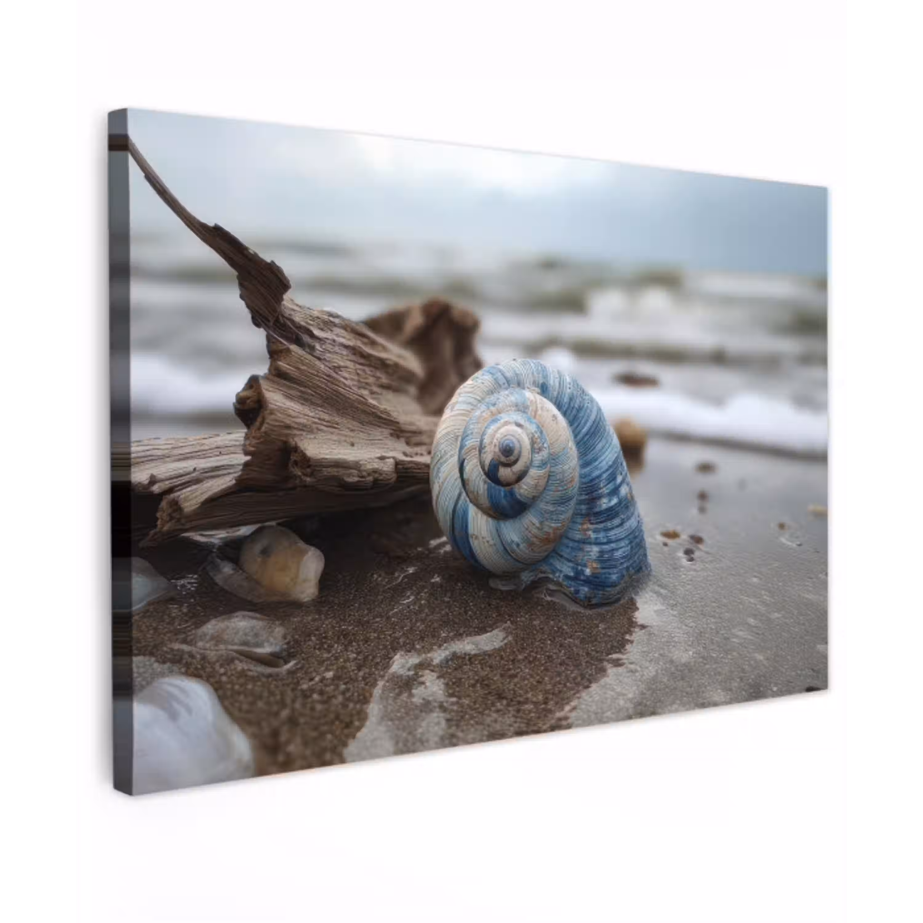 Schelp - Strand - Blauw - Zee canvas 2cm klein -z3d