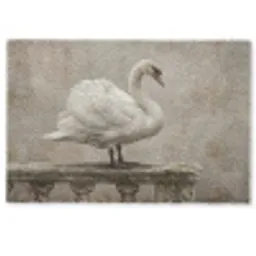 Zwaan - Elegant - Dieren - Wit Deurmat klein -zkaufland3d