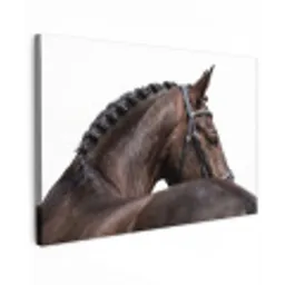 Portret - Paard - Elegant Tuinposter op houten frame 2 cm dik klein -3d