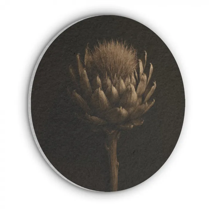 Donkerbruin - Bloem - Textuur - Artisjok Akoestische PET Vilt - Rond klein -3d
