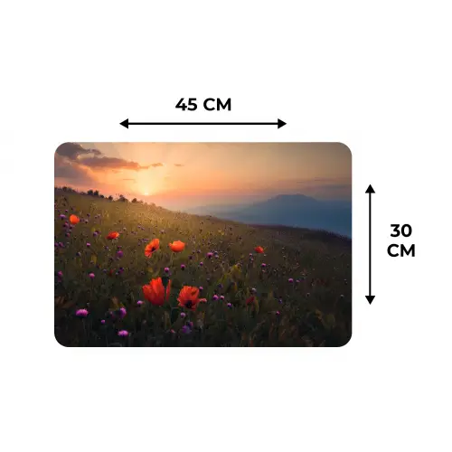 Bloemenveld - Gras - Bloemen - Planten - Zonsondergang - Oranje Placemat vinyl groot -specs