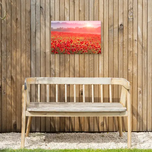 Rode klaprozen in de ochtendzon Tuinposter op houten frame 2 cm dik klein -sfeer4