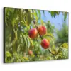 Perzik - Bladeren - Zonlicht Textielframe zwart klein -3d