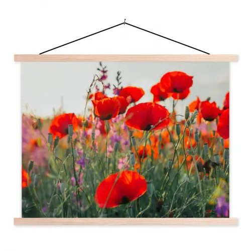 Klaproos - Bloemen - Rood - Paars - Weide textielposter latten blank klein -3d