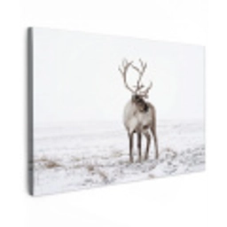 Rendier - Gewei - Sneeuw - Winter canvas 2cm klein -z3d