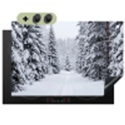 Bos - Winter - Sneeuw - Pad - Natuur Inductie beschemer met haakjes klein -3d