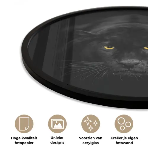 Panter - Dieren - Zwart - Ogen Fotolijst rond zonder passe partout klein -closeup_NL
