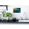 Veren - Pauwveren - Pauw Muursticker klein -keuken