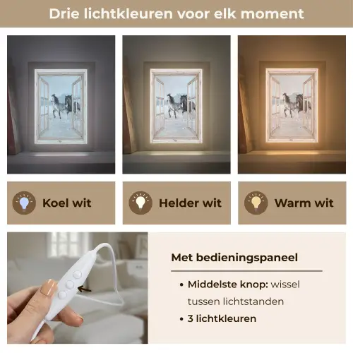 Doorkijk - Paarden - Winter - Dieren - Natuur - Wit Light Box met kabel (Tafellamp) klein -USP_lichtkleurNL