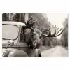 Eland - Auto - Gewei - Zwart - Wit Placemat vinyl groot -zzsfeer1_Kitchenyeah-website