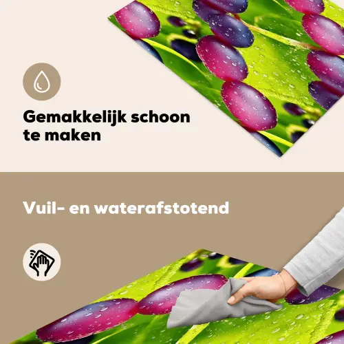 Bessen - Paars - Groen - Dauw Inductie beschemer met haakjes klein 777 -ky-schoon-nl